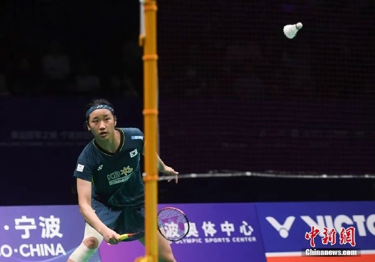 篮板和助攻 篮板和助攻